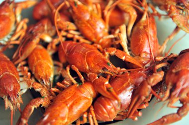 Beyaz bir arka plan üzerinde izole pişmiş kerevit. 