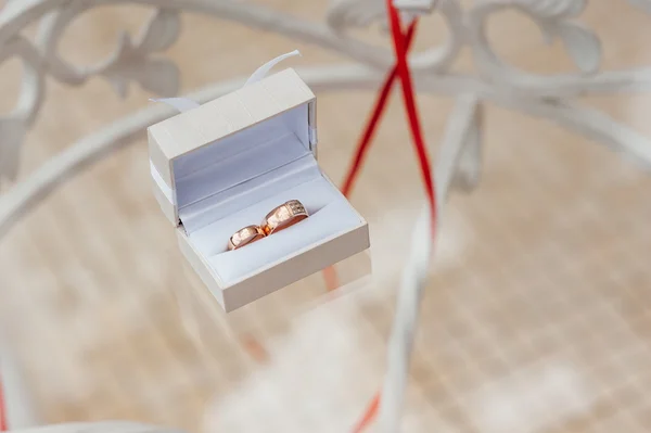 Anillos de boda en la caja de marfil —  Fotos de Stock