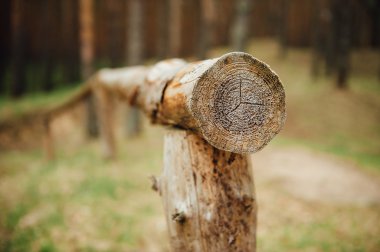 çam günlükleri küme içinde yığılmış