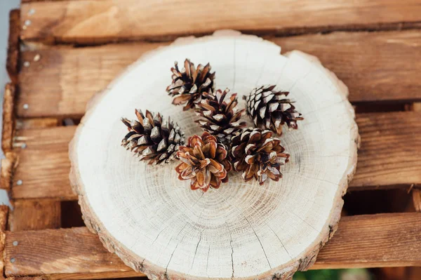 Conos de pino sobre fondo de madera . — Foto de Stock