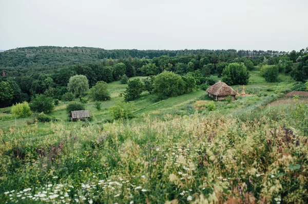 Stary drewniany dom w górach - Ukraina — Zdjęcie stockowe