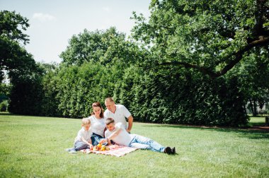 eğlenceli piknik aile