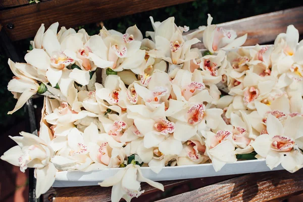 Gyönyörű tavaszi virágok a lila üveg vázák — Stock Fotó
