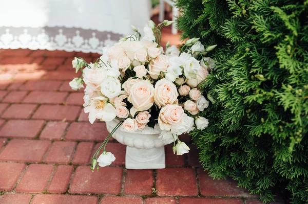 Beautiful spring flowers in ceramic vase — Stock Photo, Image
