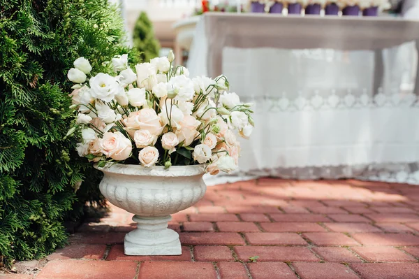 Belles fleurs printanières dans un vase en céramique — Photo