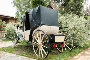 Gri bir salon ile Vintage beyaz Koç