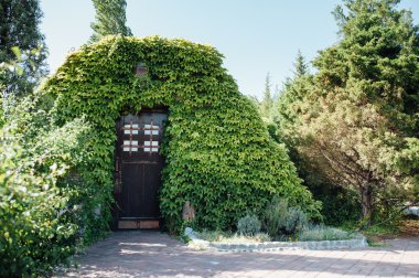 yaprak döken orman çalılıkları duvardaki evde