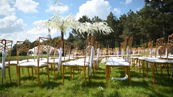 Cerimônia de casamento festiva. Guarda-chuva pendurado em uma cadeira vazia em um fundo de árvore de wisteria — Vídeo de Stock