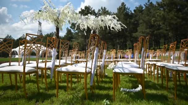 Праздничная свадьба. Зонтик висит на пустом стуле на фоне дерева вистерии — стоковое видео