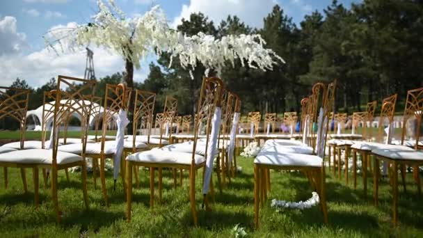 Cérémonie de mariage festive. Parapluie suspendu sur une chaise vide sur un fond de glycine — Video