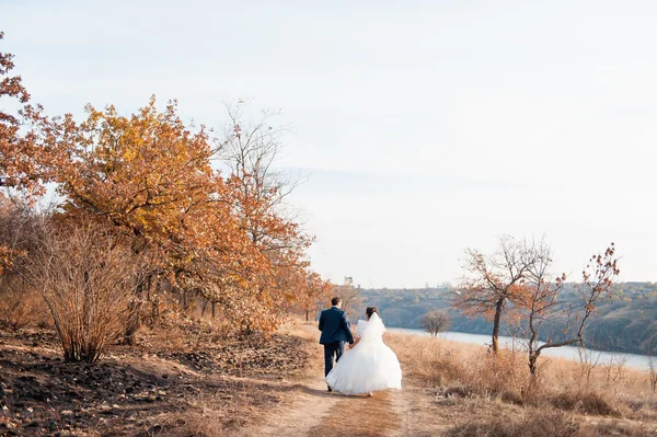 Liefhebbers wordt uitgevoerd met hold handen op stadspark — Stockfoto