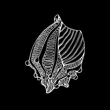 el çekilmiş deniz kabuğu