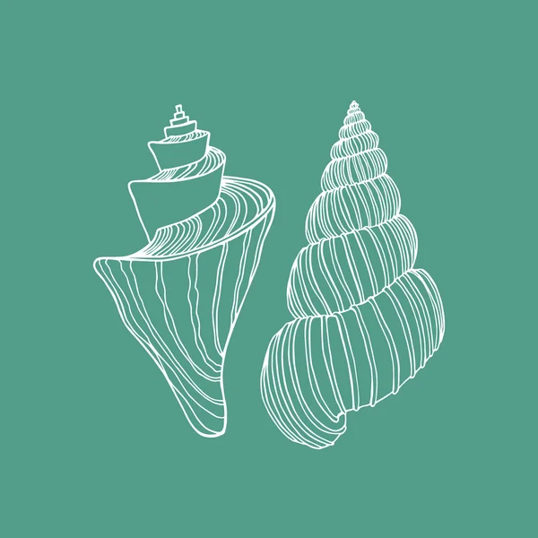 çizilmiş seashells el