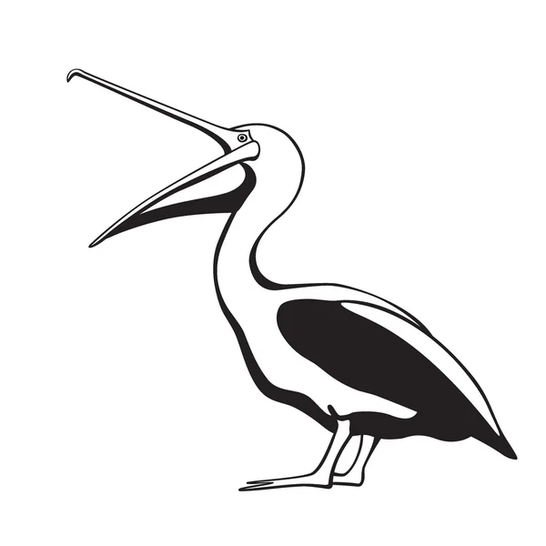 Illustrazione grafica pelican — Vettoriale Stock