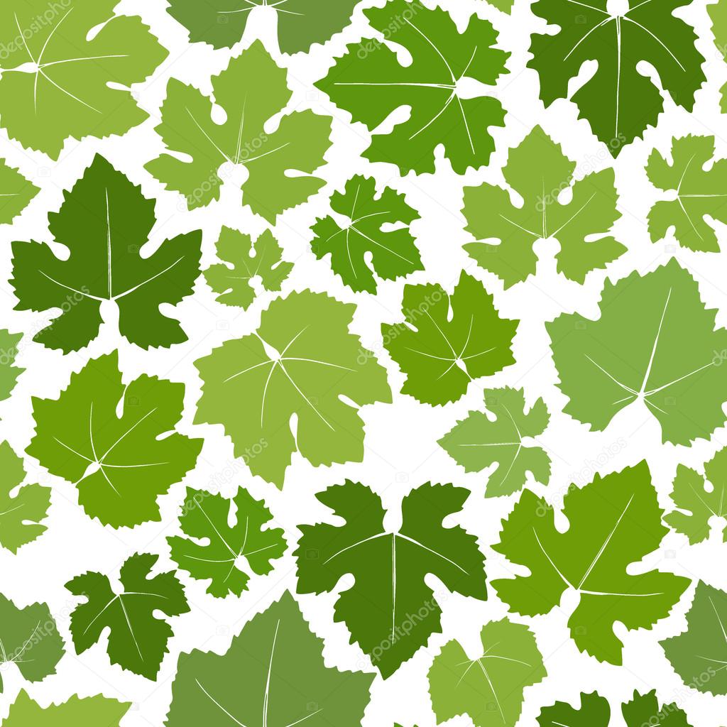 Wine grape leaves cheap