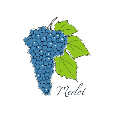 Şaraplık illüstrasyon