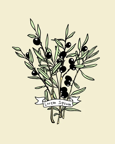 Plantilla emblema de oliva — Vector de stock