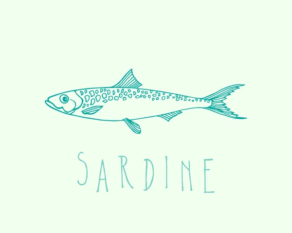 Handgezeichnete Sardine — Stockvektor