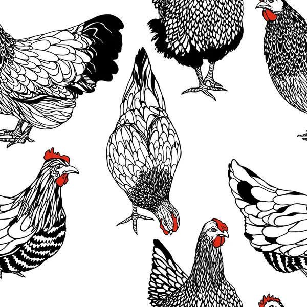 Patrón sin costura de pollo — Archivo Imágenes Vectoriales