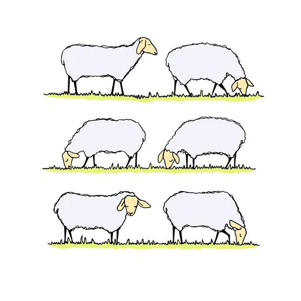 Стадо овець ілюстрація — стоковий вектор