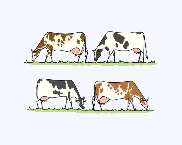 Ilustração da manada de vacas —  Vetores de Stock