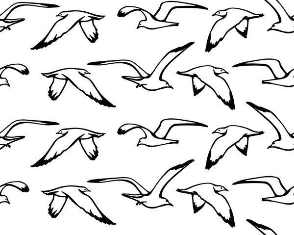 Sea gulls pattern