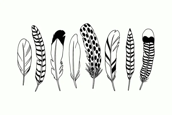 Hand drawn feather — Stock Vector