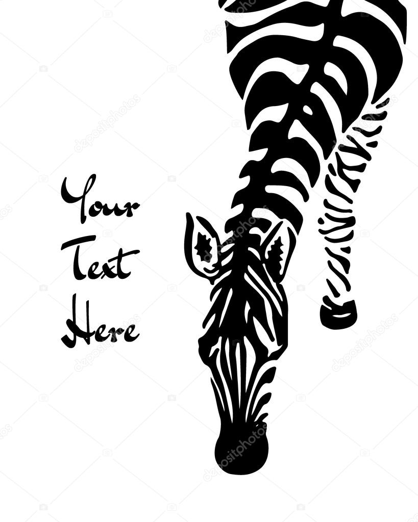 Hand drawn zebras