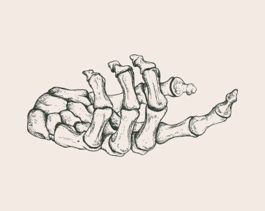 El iskelet illüstrasyon