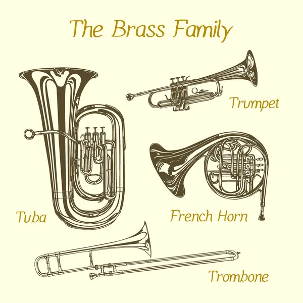 Brass family illustration — Stock Vector