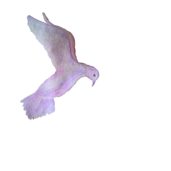 水彩鸽子飞来飞去 — 图库矢量图片