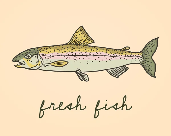 Illustrazione pesce trota disegnato a mano — Vettoriale Stock