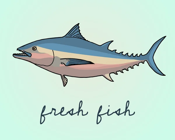 Thunfisch-Illustration — Stockvektor