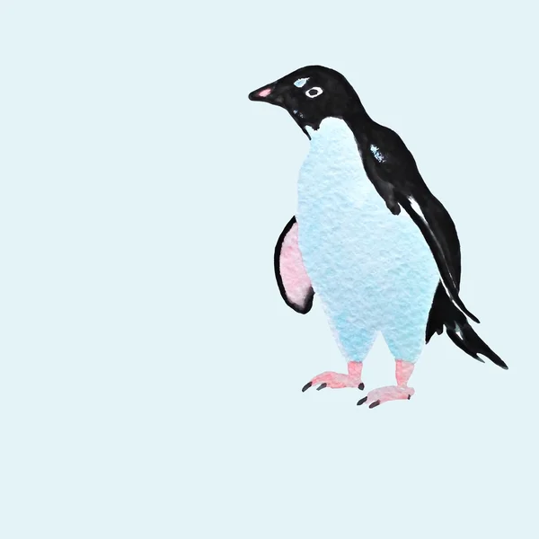 Χειροποίητη ακουαρέλα πιγκουίνος — Διανυσματικό Αρχείο