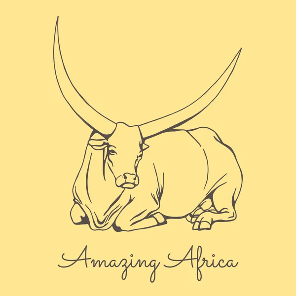 Illustration de vache africaine — Image vectorielle