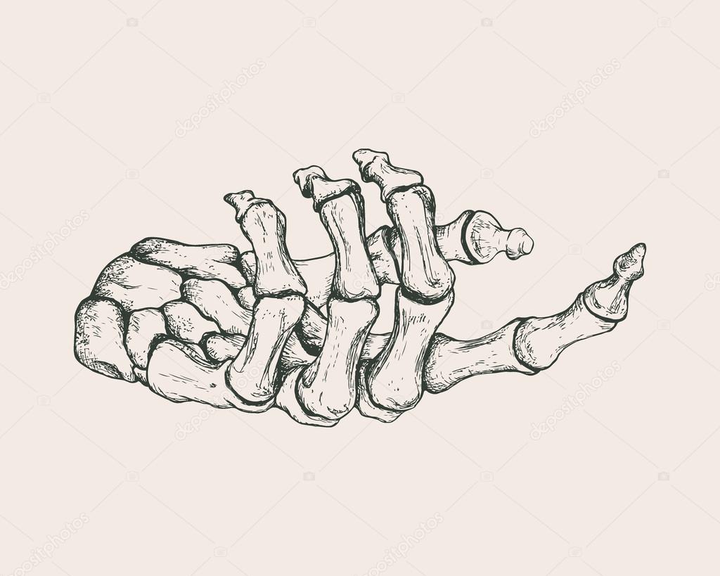 Digital illustration of a skeleton hand (jessondesign) : r