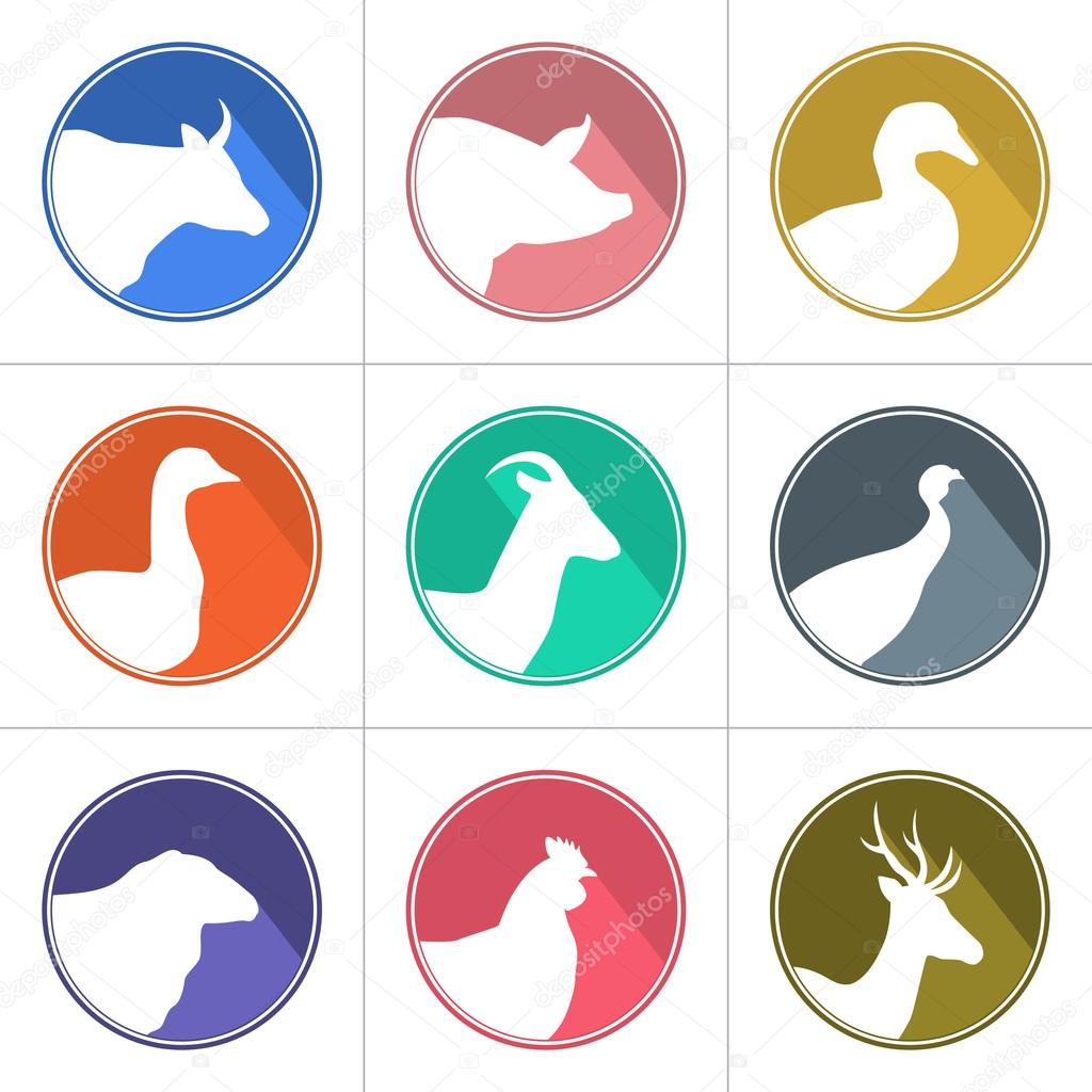 Set of meat animals icons with animals heads in profile. Vector collection made in retro style. Logos, badges and design elements