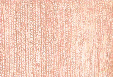 kalem arka plan eğri çizgiler kırmızı