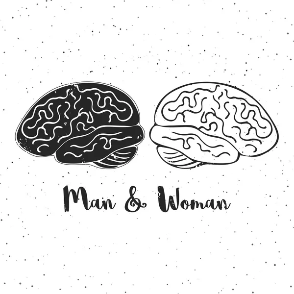 Vektorová ilustrace mužových a ženských mozků. Jsou to ikononické reprezentace genderové psychologie, tvořivosti, myšlenek. — Stockový vektor