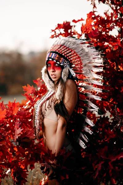 Schöne Mädchen in einem Anzug der amerikanischen Indianer — Stockfoto