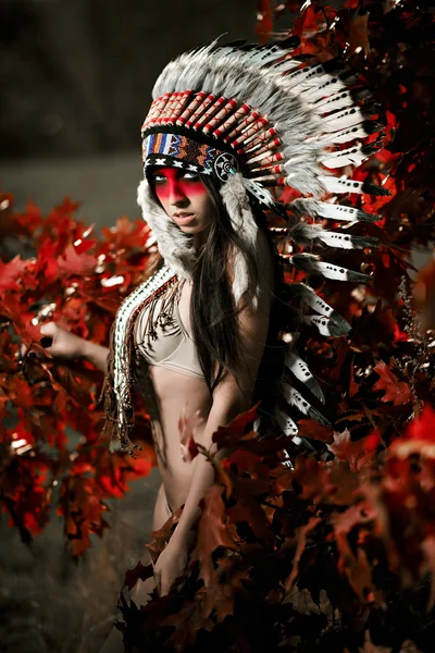 Beautiful girl in a suit of the American Indian — Stock Photo, Image