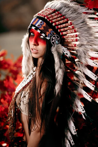 Hermosa chica en un traje del indio americano — Foto de Stock