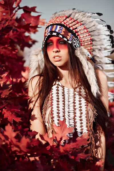 Beautiful girl in a suit of the American Indian — Stock Photo, Image