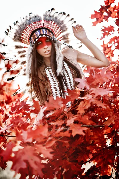 Beautiful girl in a suit of the American Indian — Stock Photo, Image