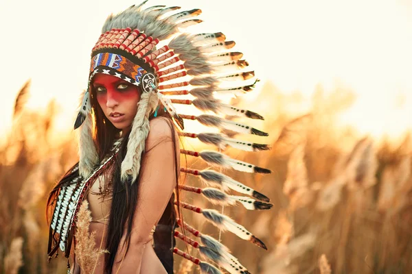 Beautiful girl in a suit of the American Indian — Stock Photo, Image