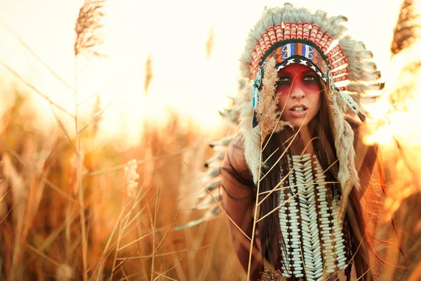 Hermosa chica en un traje del indio americano Imagen De Stock