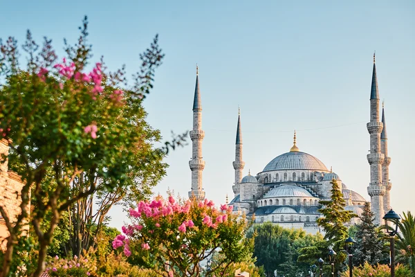 De Blauwe Moskee Istanbul, Turkije. Sultanahmet Camii. — Stockfoto