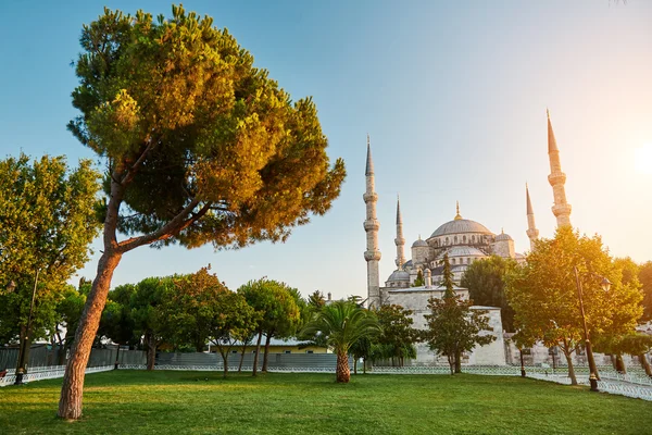 De Blauwe Moskee Istanbul, Turkije. Sultanahmet Camii. — Stockfoto