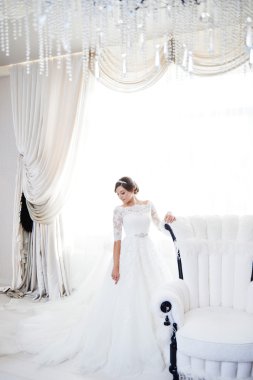 Güzel gelin portresi. Elbise