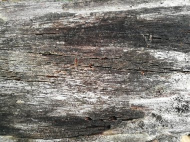 Kirli eski ahşap arka plan/doku